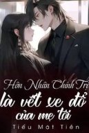 Hôn Nhân Chính Trị Là Vết Xe Đổ Của Mẹ Tôi